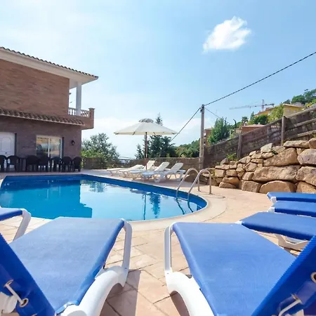 Club Villamar - Ardisia